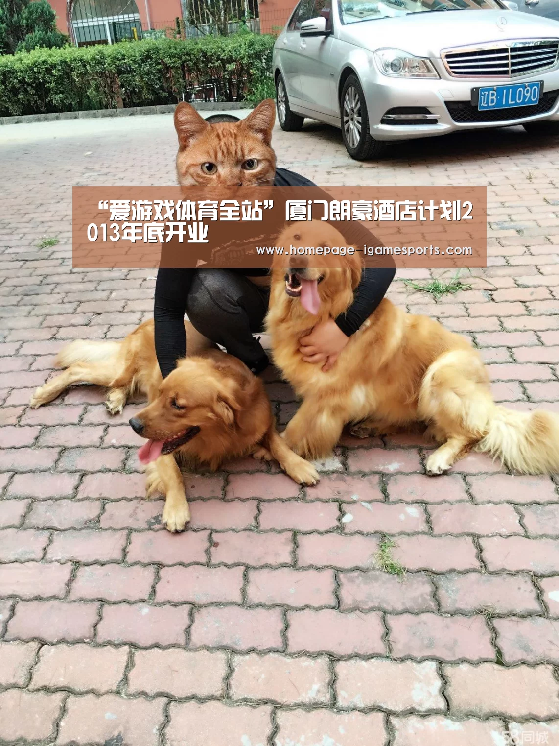 爱游戏体育全站