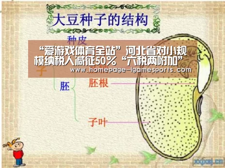 “爱游戏体育全站”河北省对小规模纳税人减征50%“六税两附加”(图1) 爱游戏棋牌