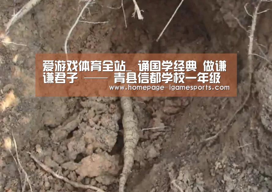 爱游戏体育全站
