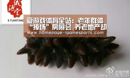 爱游戏体育全站:老年群体“捧场”房展会 养老地产却难寻(图2) 爱游戏官网