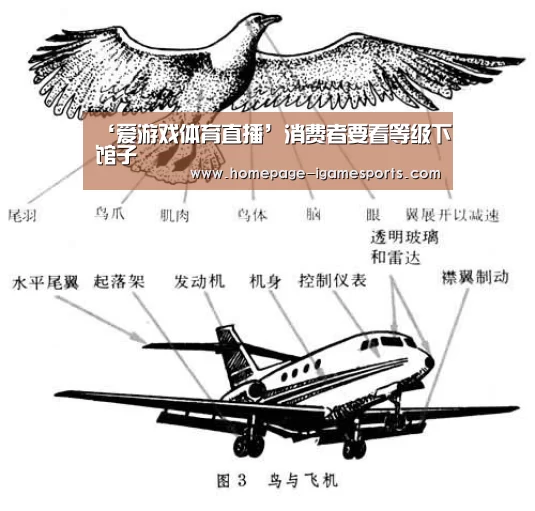 ‘爱游戏体育直播’消费者要看等级下馆子