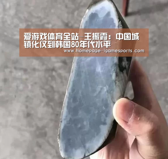 爱游戏体育全站-王振霞:中国城镇化仅到韩国80年代水平(图2) 爱游戏体育直播