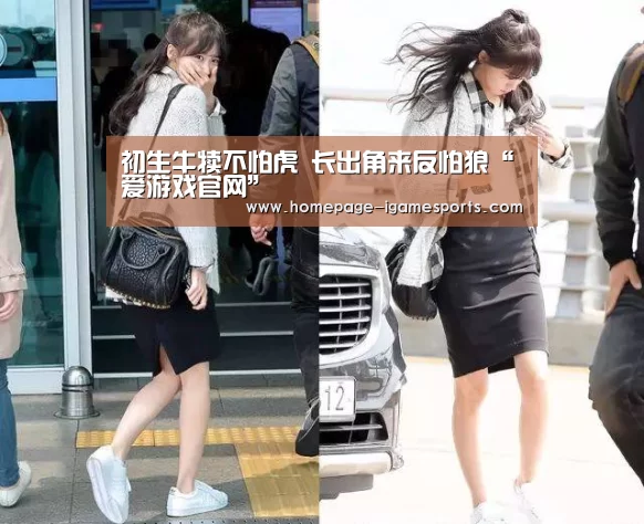 初生牛犊不怕虎 长出角来反怕狼“爱游戏官网”(图1) 爱游戏棋牌