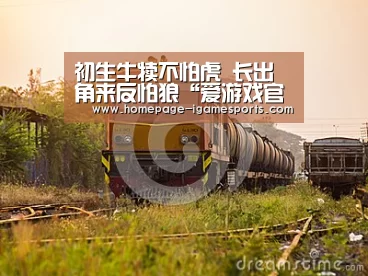 初生牛犊不怕虎 长出角来反怕狼“爱游戏官网”(图3) 爱游戏棋牌