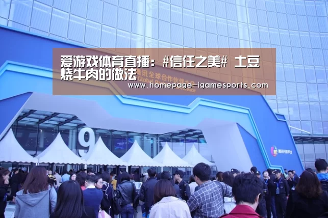 爱游戏体育全站